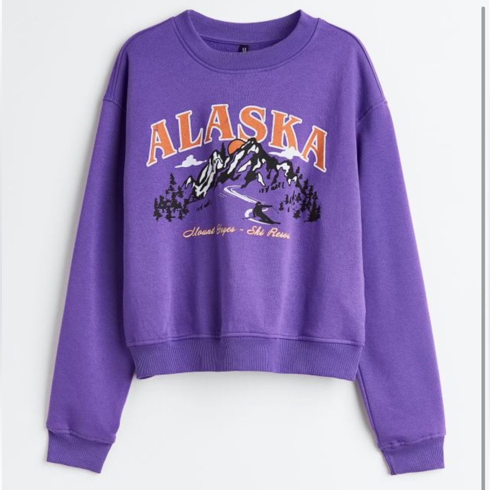 NWOT H&M Alaska Vintage Inspired Graphic Travel Souvenir Sweatshirt Long Sleeve
